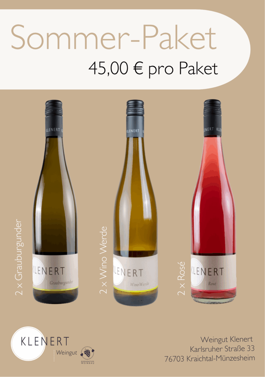Sommer-Paket